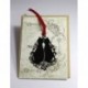 Books Cats Double Bracket