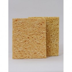 Textured Sponge