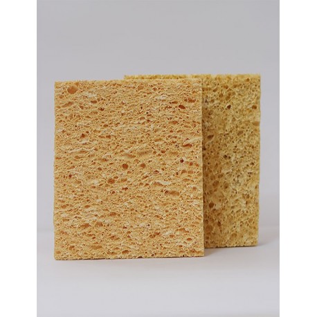 Textured Sponge