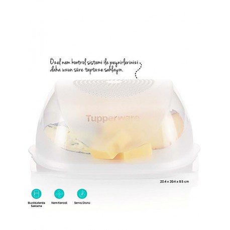 Tupperware Middle Cheese World