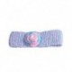 Hair Band In Pink And Pink And Blue Flower