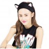 Cat Hair Black Hair Band