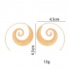 Spiral Leaf Model Earrings