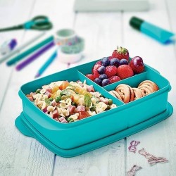 Tupperware Compartment Blue Color Nutrition Box 1Lt