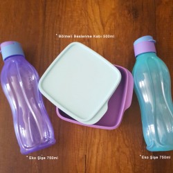 Tupperware Divided Lila Two Color Eco Bottle Nutrition Set