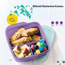 Tupperware Bölmeli Lila İki Renkli Beslenme Kutusu