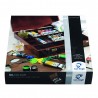 Talens Van Gogh Professional Oil Paint Set of 10 with Wooden Box