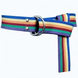 Rainbow Palaska Silver Color D Shaped Buckle Belt