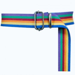 Rainbow Palaska Silver Color Rectangle Buckled Belt