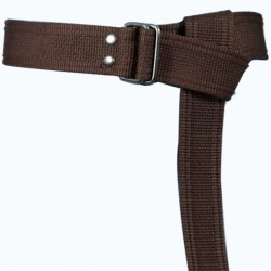 Dark Brown Palaska Silver Color Double Rectangle Buckled Belt