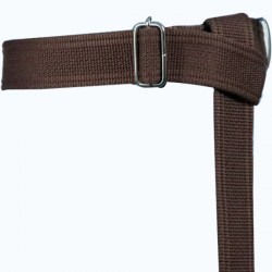 Dark Brown Palaska Silver Color Rectangle Buckled Belt