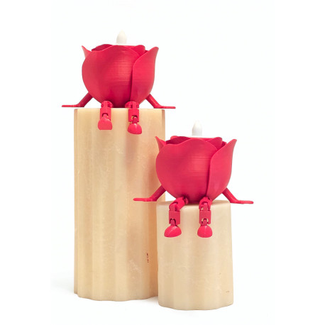 3D Büyük Hareketli Işıklı Güller