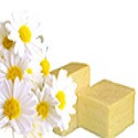 Natural Soaps