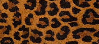 Kahverengi Leopar 