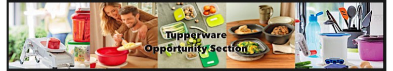Tupperware Opportunity Products